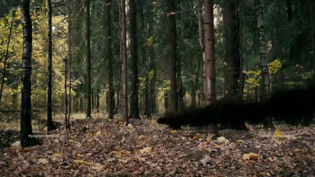 «ПОКА ЦВЕТЁТ ПАПОРОТНИК» - СПЕЦЭФФЕКТЫ - magic reel