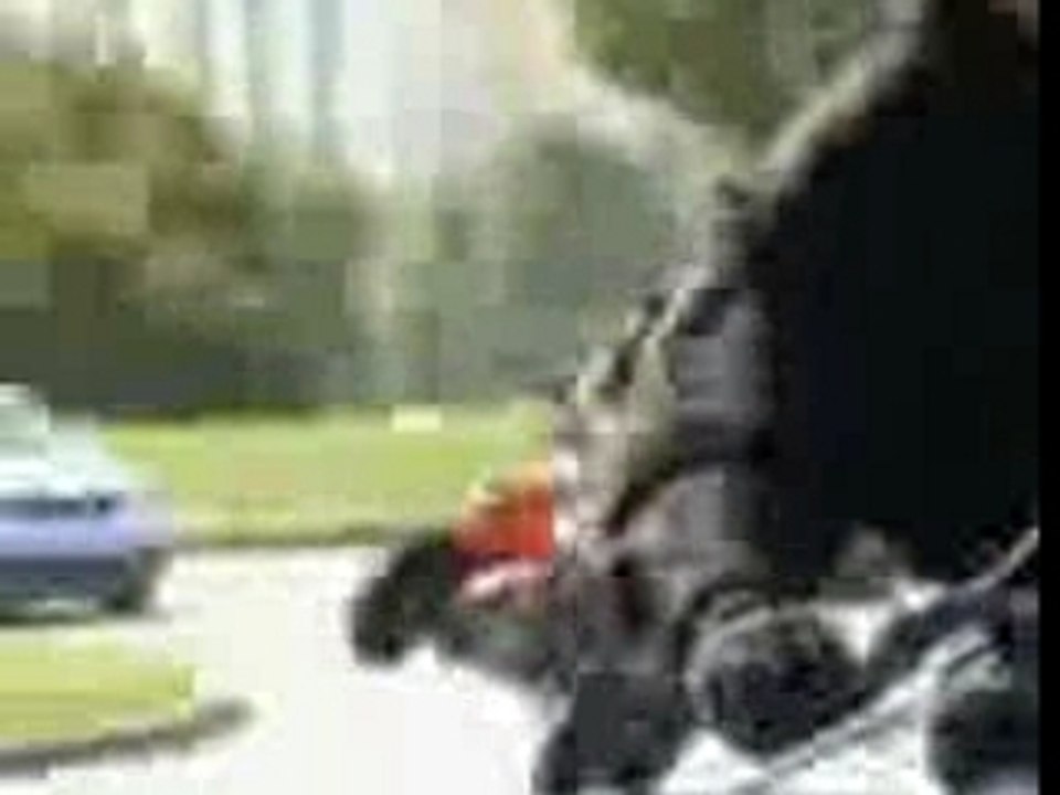 reuff riders