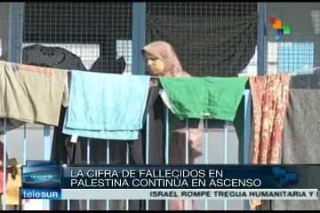 下载视频: Israel y Hamas suspenden negociaciones de paz en Egipto