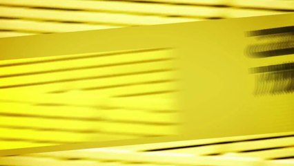 Festival 2011: SMUGGLER trailer