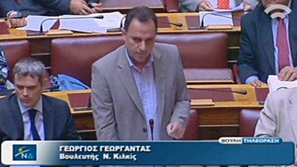 Ομιλία Γεωργαντά στη Βουλή στο νομοσχέδιο "Ρυθμίσεις δασικής νομοθεσίας"