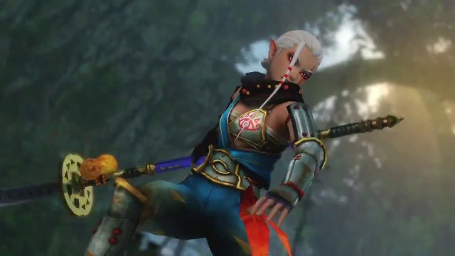 Hyrule Warriors Trailer with Impa and a Naginata
