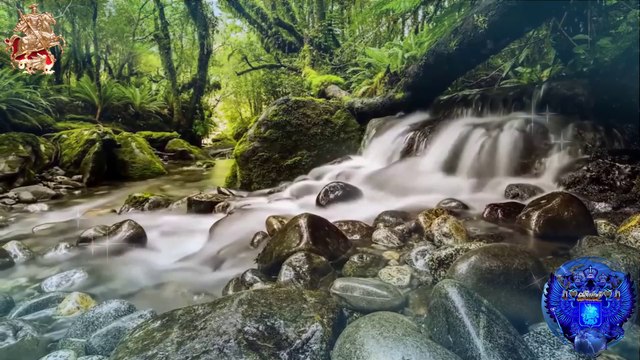 ♛♫♥Flatlex - Faded Memories (Etasonic mix) [TFB Records]♥♫♛