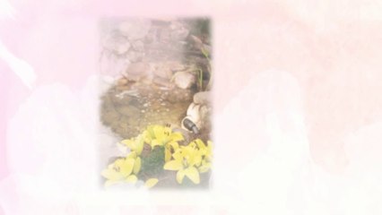 E N G Curbing (701) 264-9749