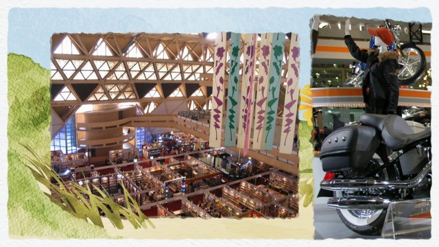 Find Great Moving Companies in Houston, TX | Call 713-690-7000 for a Quote