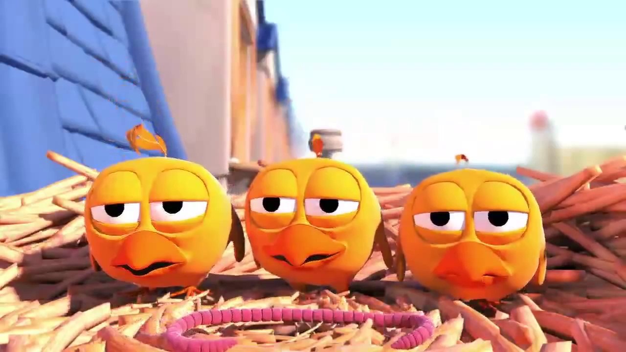Pigeons - Cute animation cartoon