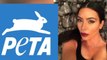Kim Kardashian Rides Dolphins in Mexico, Angers PETA