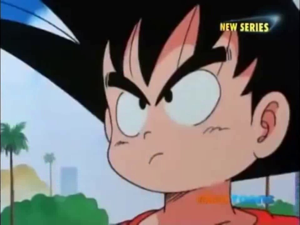 10794356