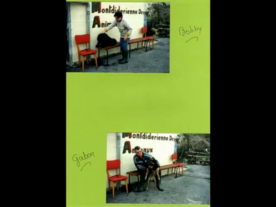 ADOPTIONS AVANT 27 JUIN 2009