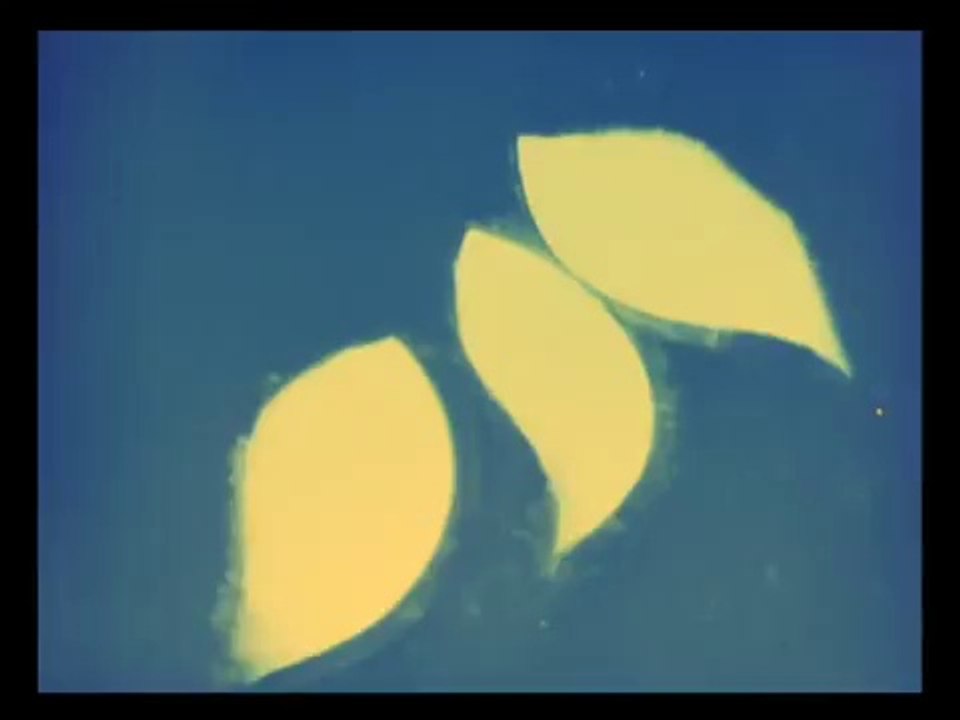 Lichtspiel Opus I (1921) - Walther Ruttmann