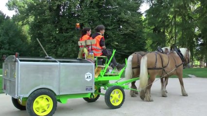 Grenoble-ramassage-hippomobile-des-déchets-(par-Terre-Dauphinoise)