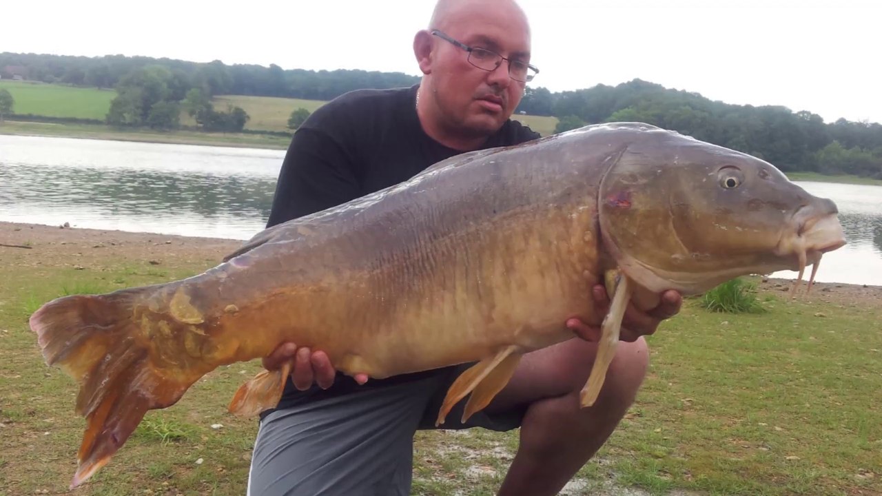 Lac du bourdon Carpe Miroir de 16,2 kilos