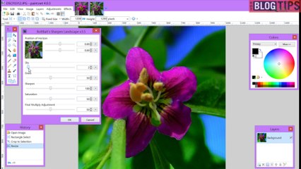 Colored Image with Black and White on Paint. Net