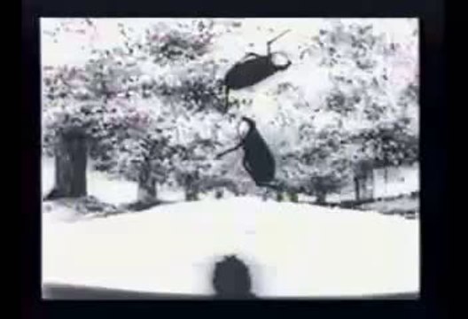 \McCay, Winsor (1921) - Dreams of the Rarebit Fiend - Bug V2