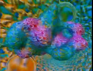 Beyond the Mind's Eye - 01 Virtual Reality