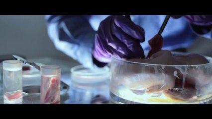 "I'm Not Jesus Mommy" a film by Vaughn Juares a FilmDemic Project - BETA TRAILER