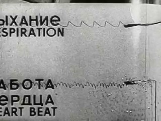 Experiments in the Revival of Organisms (1940)