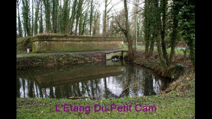 Les étangs de Péronne 80200