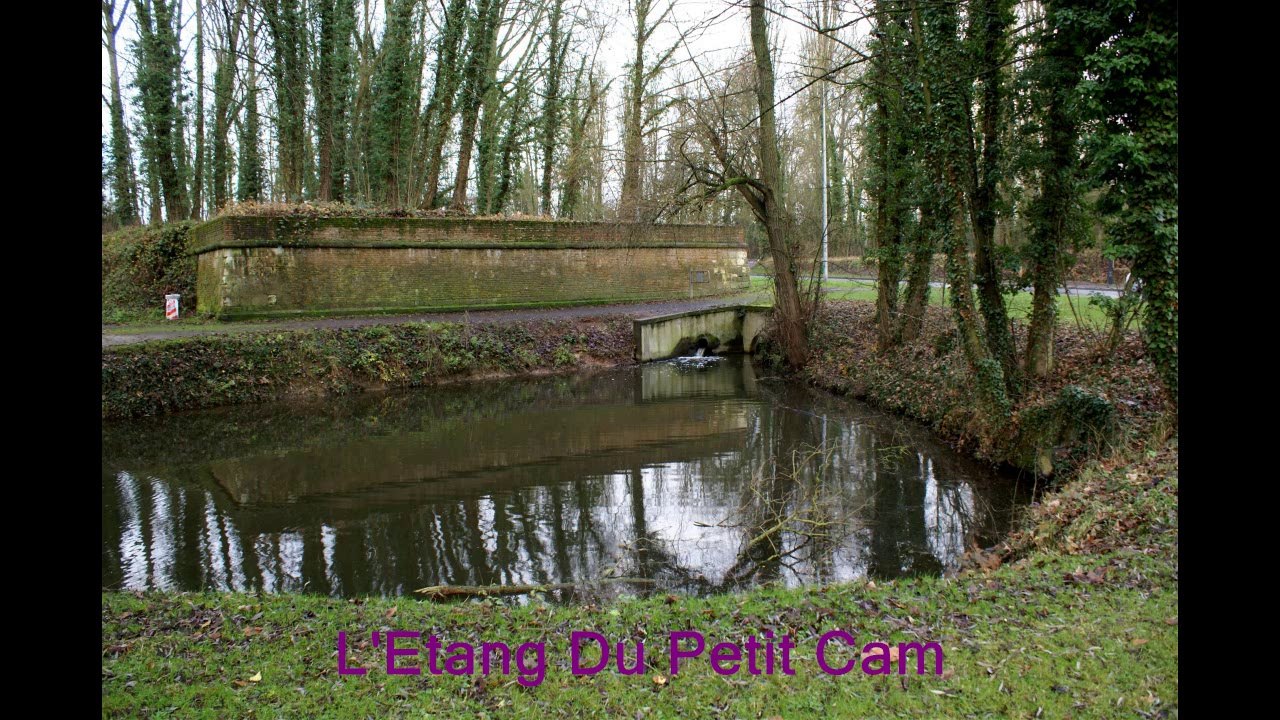 Les étangs de Péronne 80200