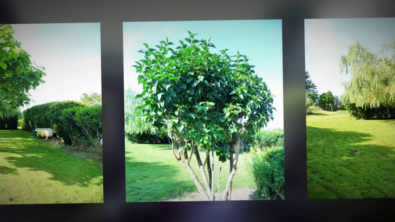 UNE MERVEILLEUSE MAISON DE FAMILLE DANS LE CADRE PRESERVE DU « HAUT ALLIER »