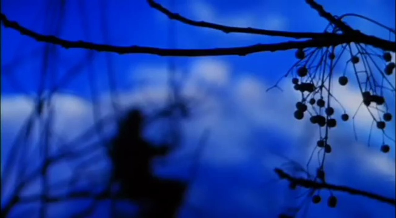 Gray's Anatomy- Spalding Gray - Trailer
