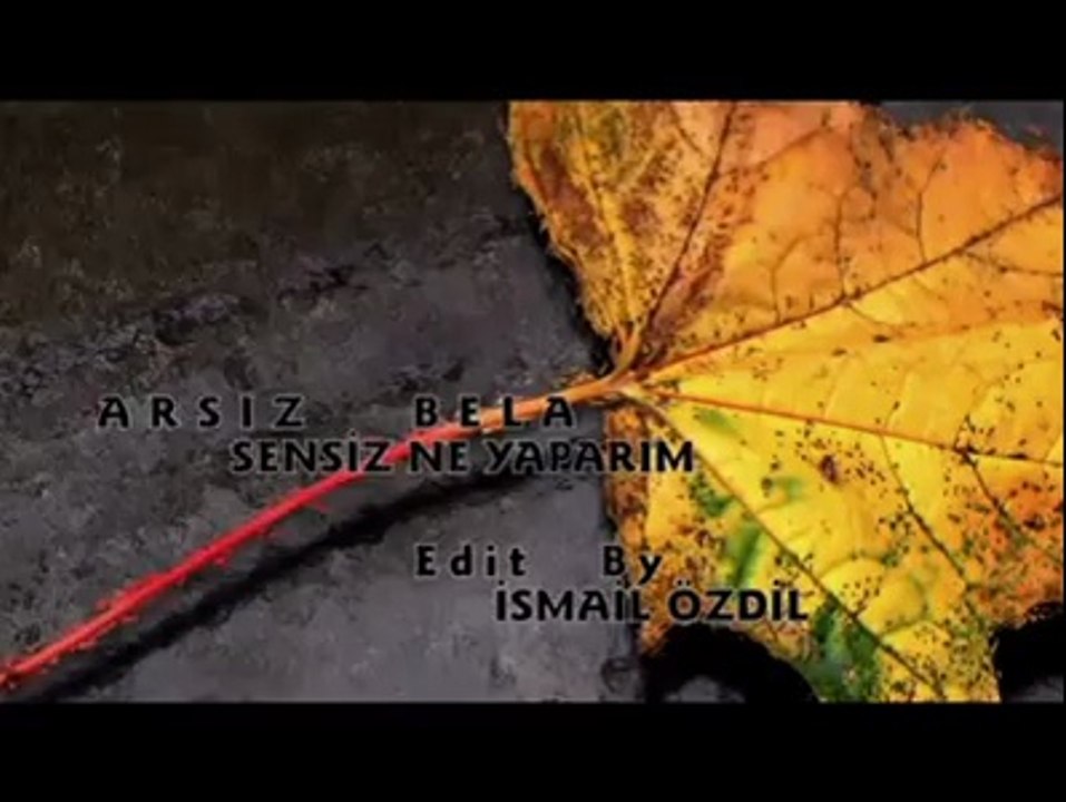 Arsız Bela Sensiz Ne Yaparım