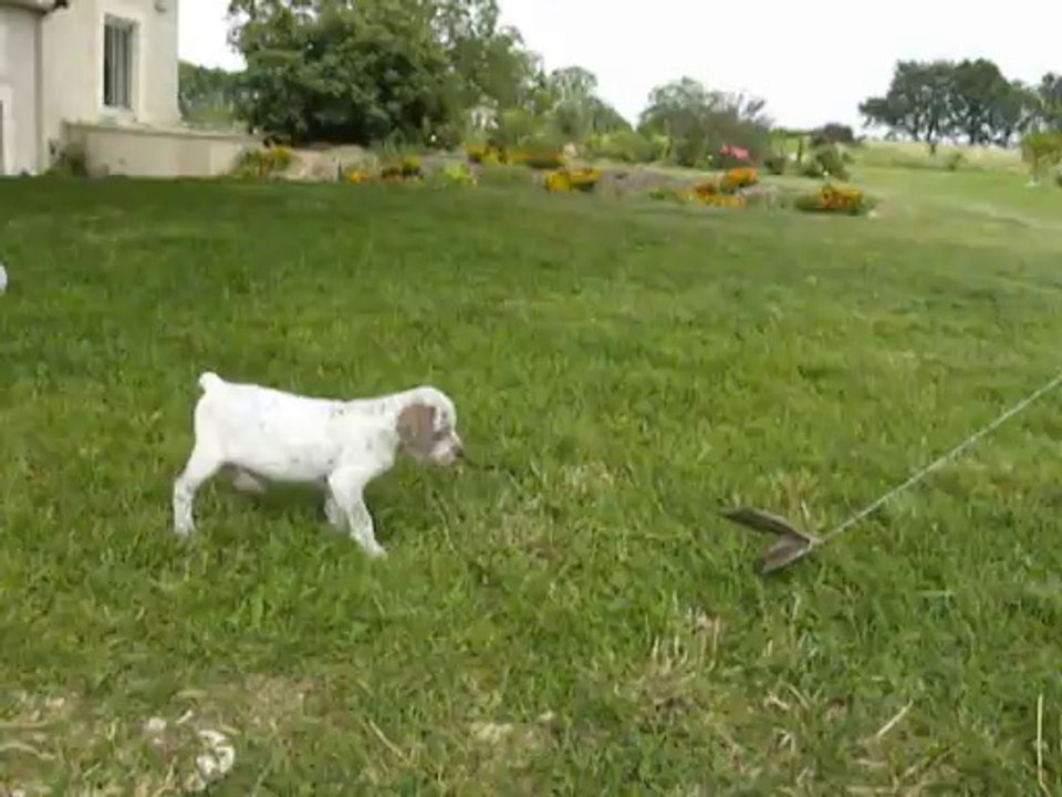 JUBA Arrêt sur plume