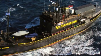 Eco-Pirate: The Story of Paul Watson - Official Trailer