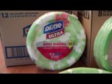 Dixie Ultra Disposable Plates Review