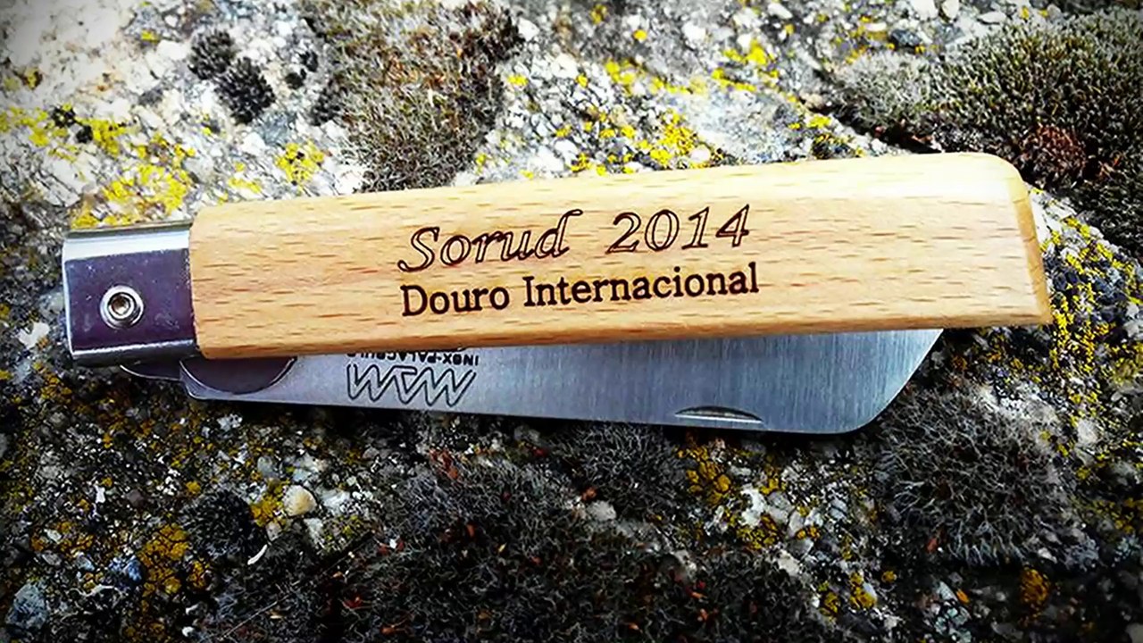 SoRud - Douro Internacional