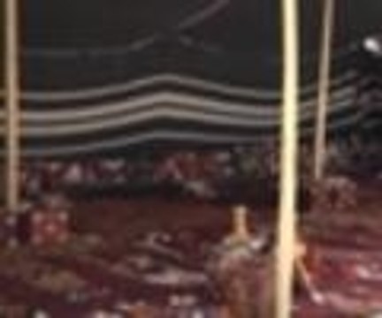 Suudi iş adamı Abantta çadır kurdurdu