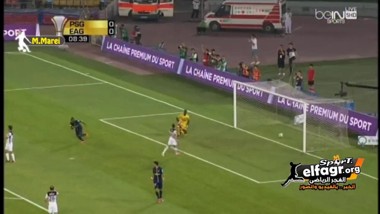 إبراهيموفيتش يسجل هدف خرافي فى كأس السوبر الفرنسي