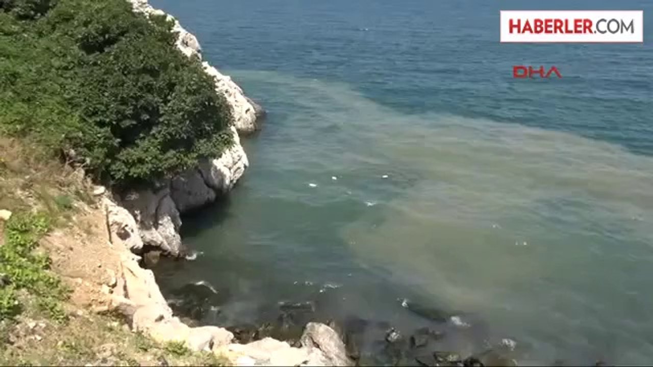 Denizde Kanalizasyon Kirliliğine Tepki