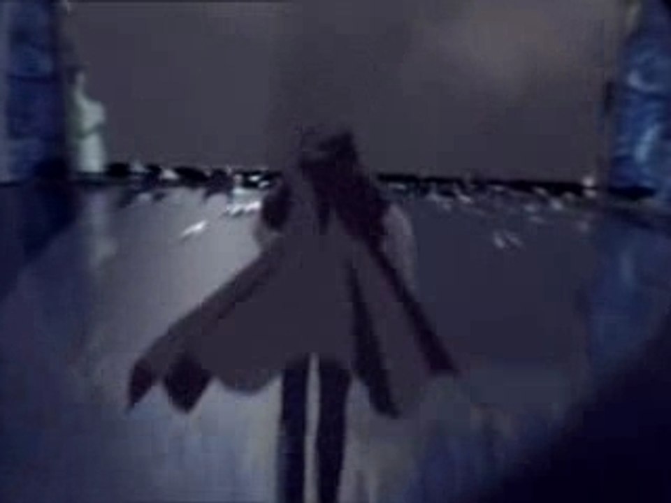 Wonderwull days.by loup.amv