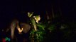 Jungle Cruise At Night - Magic Kingdom - Walt Disney World Resort