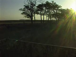 Михай Виг из к/ф "Путешествие по равнине"