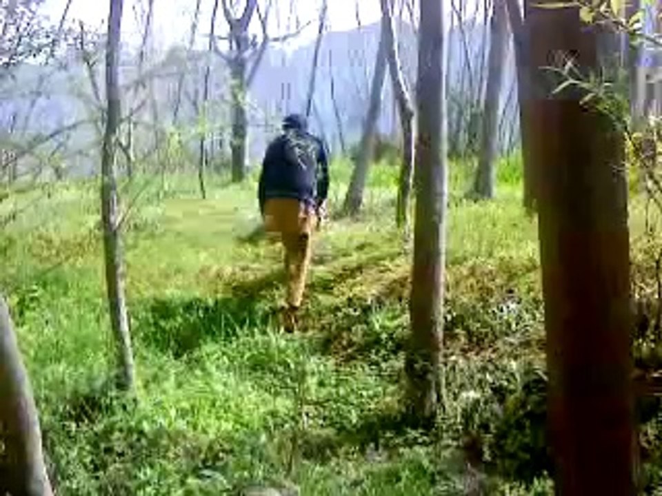 VideoDJw