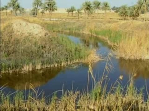 Пирамиды, мумии, гробницы...они есть везде.