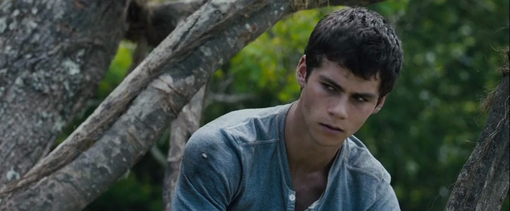 The Maze Runner (2014) Theatrical Trailer