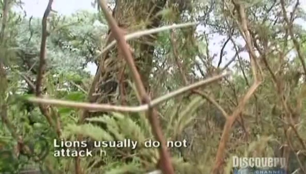 Survivorman S2E04 - African Plains