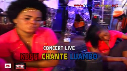 Sortie de DVD KOFFI chante TABU LEY 2, LUAMBO et CINDY LE COEUR