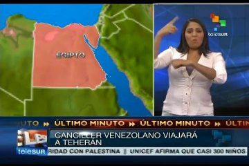 Despliegan esfuerzos Jaua y miembros del MNOAL a favor de la paz en MO