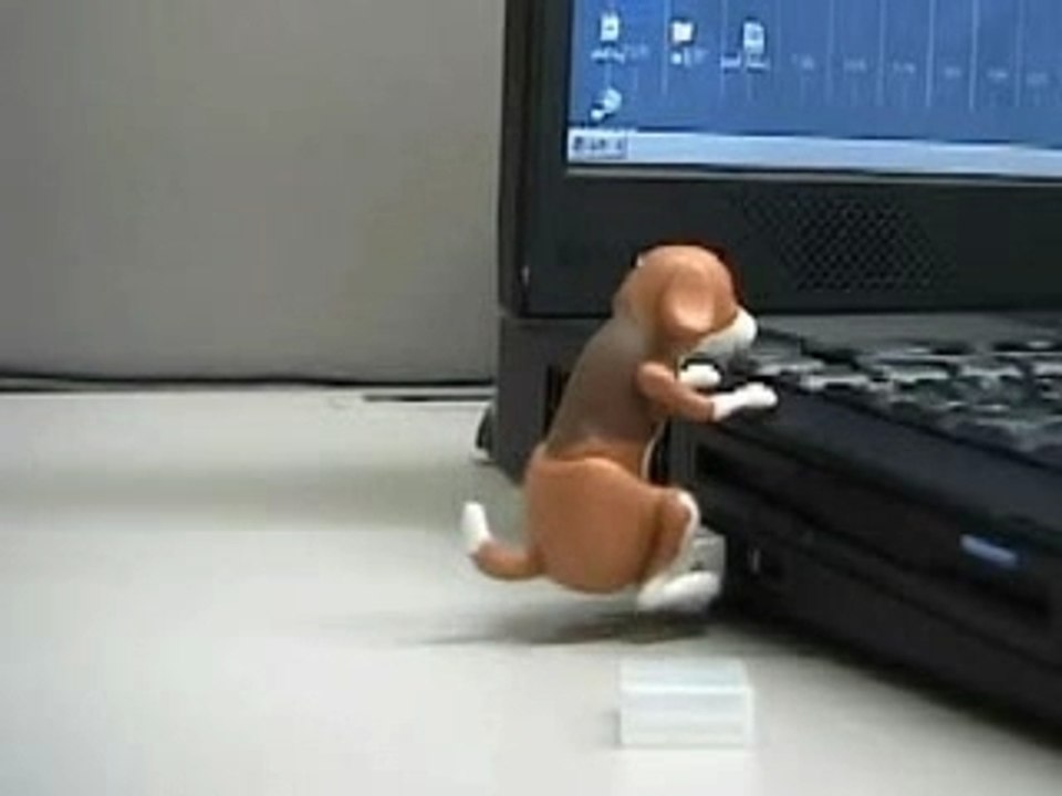Humpingdog