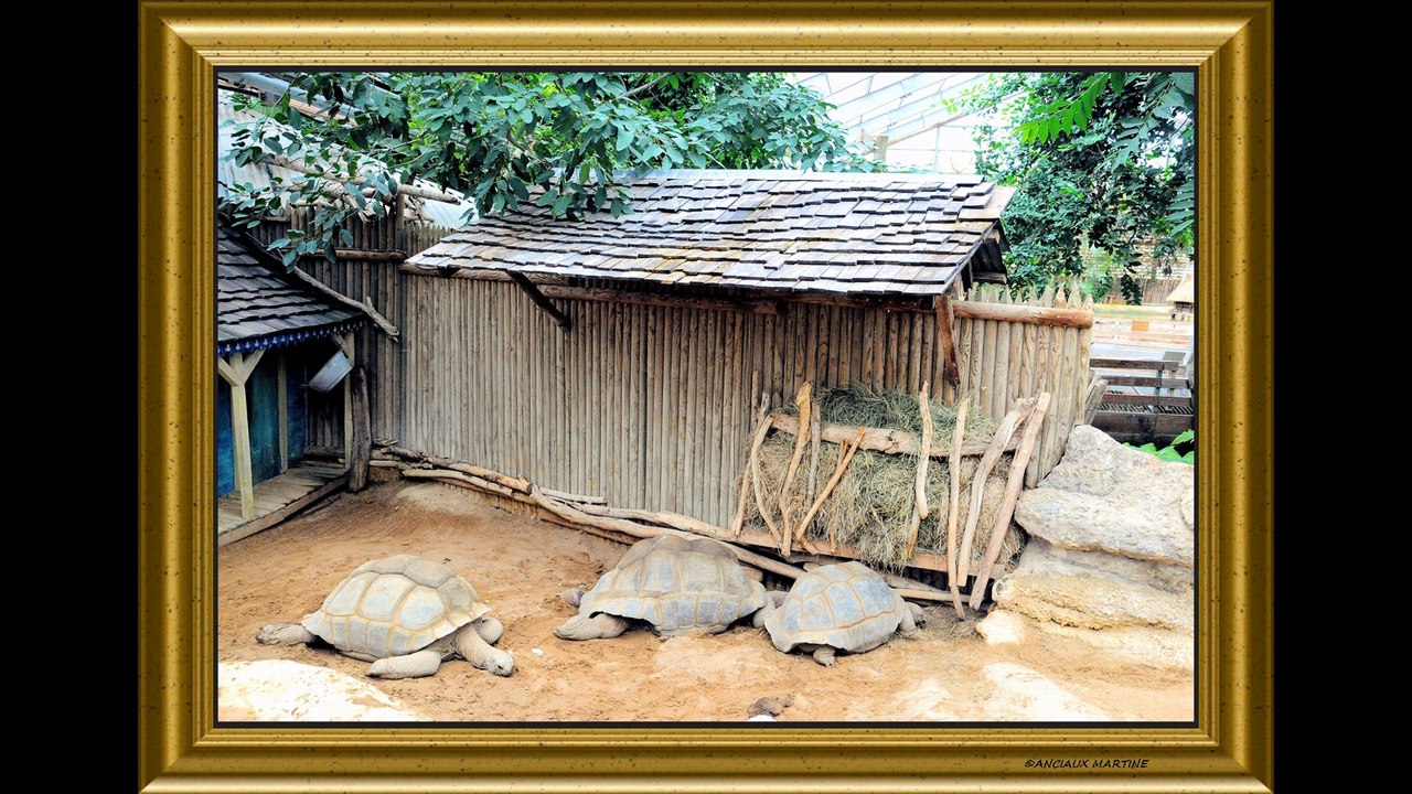 HD.LA FERME AUX CROCODILES N°2 MARTINE ANCIAUX CREATRICE DE LA PHOTO-PEINTURE, ART PHOTOGRAPHER