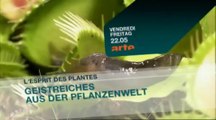 L'ESPRIT DES PLANTES