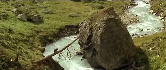 L'Ours (1988) - the cougar scene