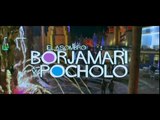 EL ASOMBROSO MUNDO DE BORJAMARI Y POCHOLO - Trailer Español HD