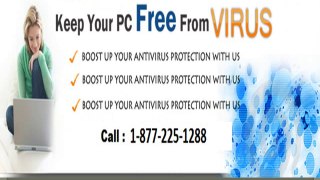 Quickheal Anti virus Technical Help 1-877-225-1288