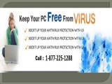 Quickheal Anti virus Technical Help 1-877-225-1288