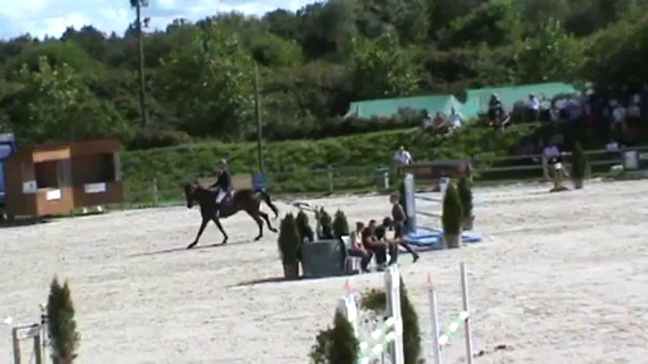 20140803 CIC** Sandillon Bart L